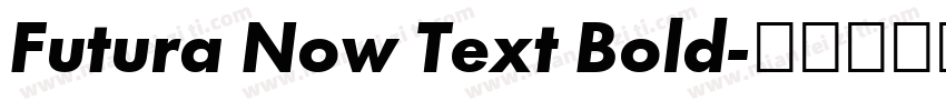 Futura Now Text Bold字体转换